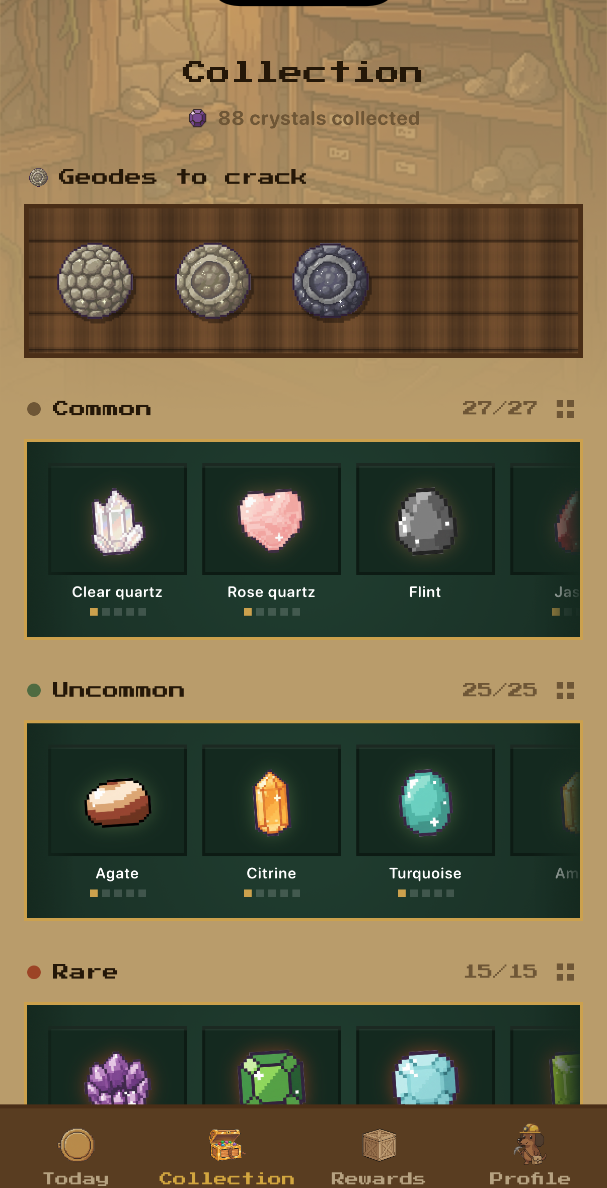 The collection: shelves of gems
